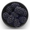 Mísa 0,15 l Ø10 cm Nordic kitchen Eva Solo