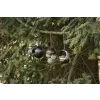 Krmítko pro ptáky Ornament Sphere