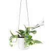 568164 Selfwatering pot Chalk white lige paa med plante regi 1 HIGH